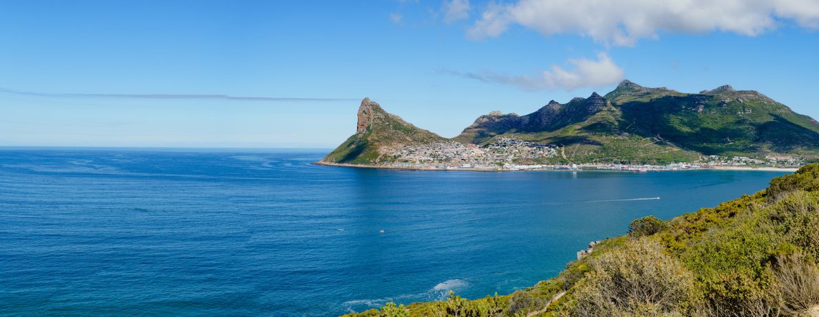 Group of kayaking in Hout Bay