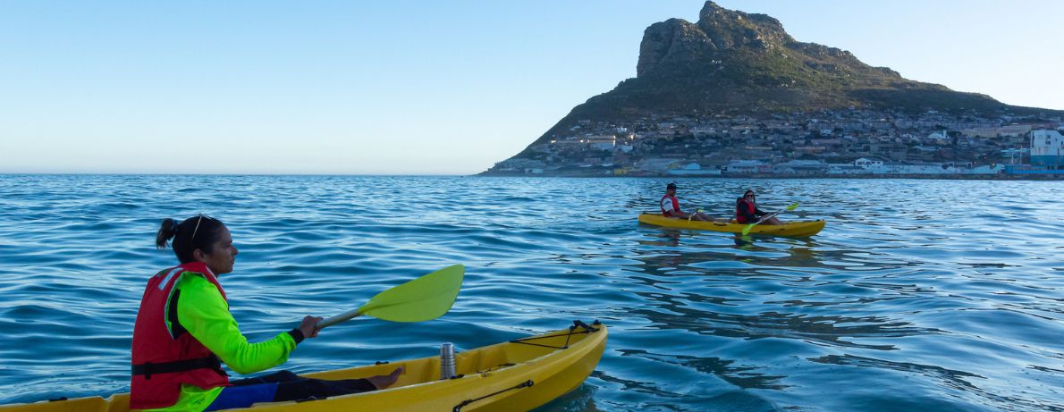 Group of kayaking in Hout Bay