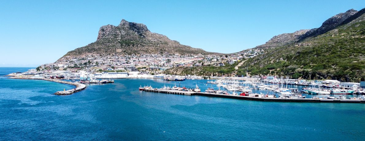 Group of kayaking in Hout Bay